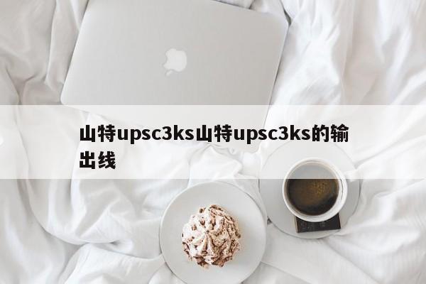 山特upsc3ks山特upsc3ks的輸出線