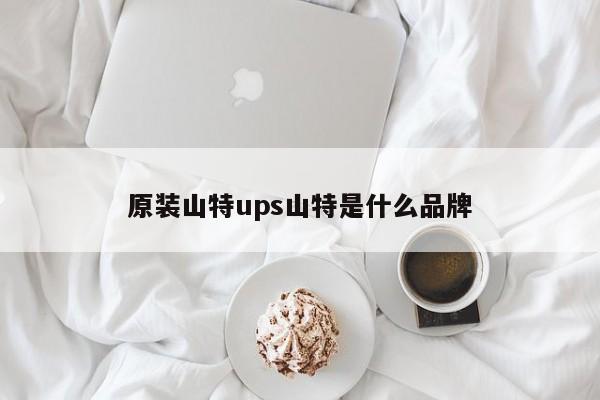 原裝山特ups山特是什么品牌